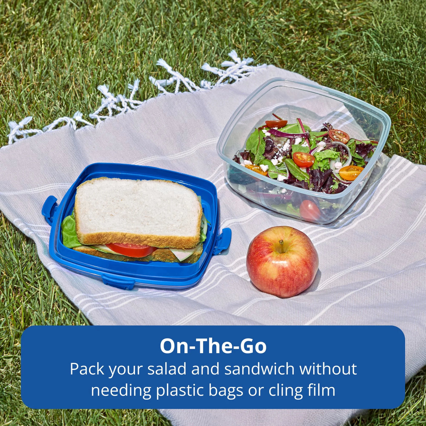Rubbermaid Pack and Go 1.63 L Salad and Sandwich Container, Meal Prep Container with Secure Seal Lid
