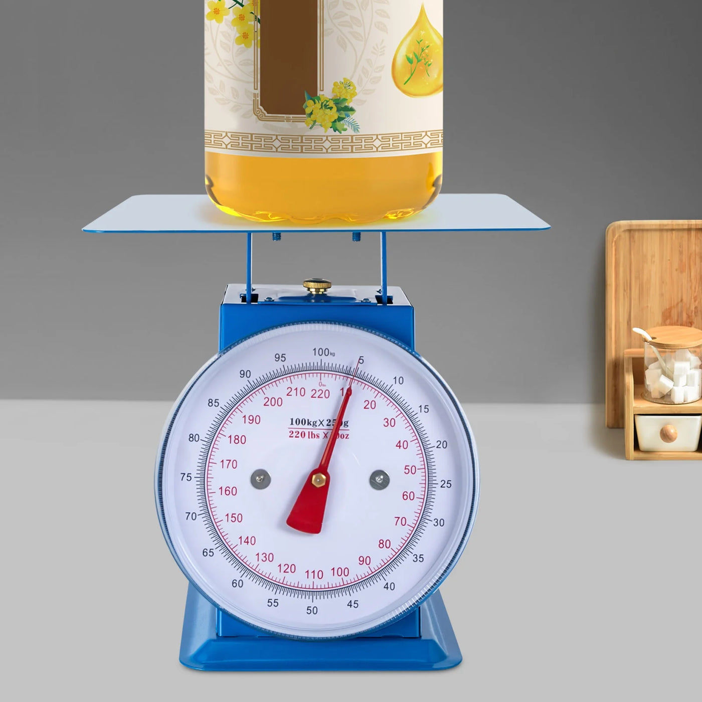 220-Lbs Heavy-duty Industrial Spring Scale, Mechanical Food Scales, Kitchen Weighing Dial Scale with Iron Platform