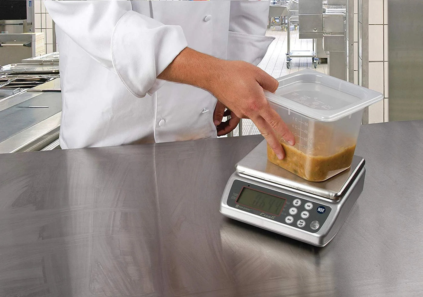 Digital Washdown Scale, 33lb Capacity, Stainless Steel, for Accurate Kitchen, Food and Portion Weighing