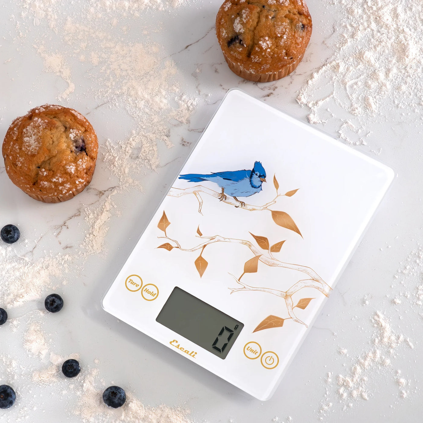 Arti Blue Jay Glass Digital Scale, White, for Accurate Kitchen, Food and Portion Weighing, Durable Design for Daily Home Use