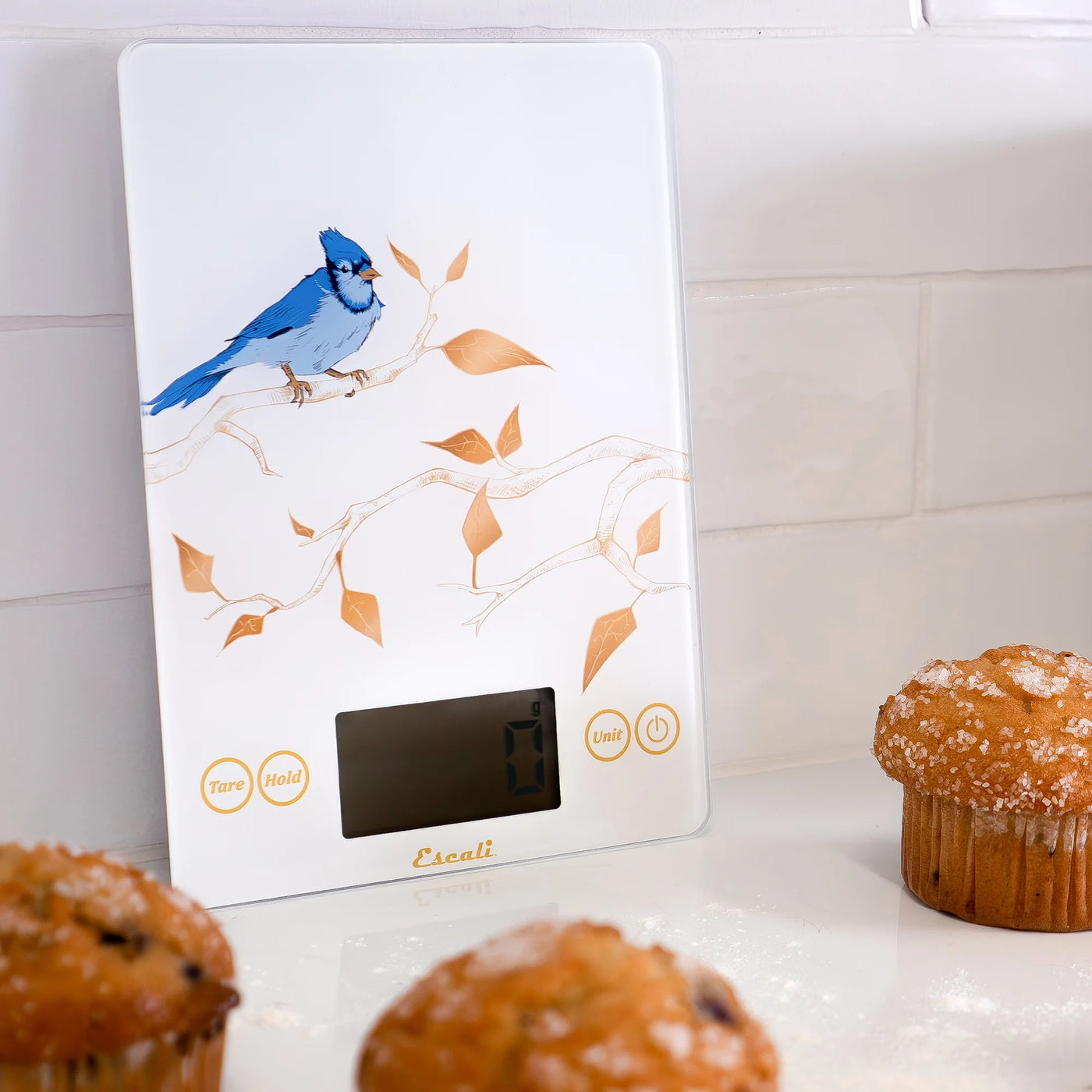 Arti Blue Jay Glass Digital Scale, White, for Accurate Kitchen, Food and Portion Weighing, Durable Design for Daily Home Use