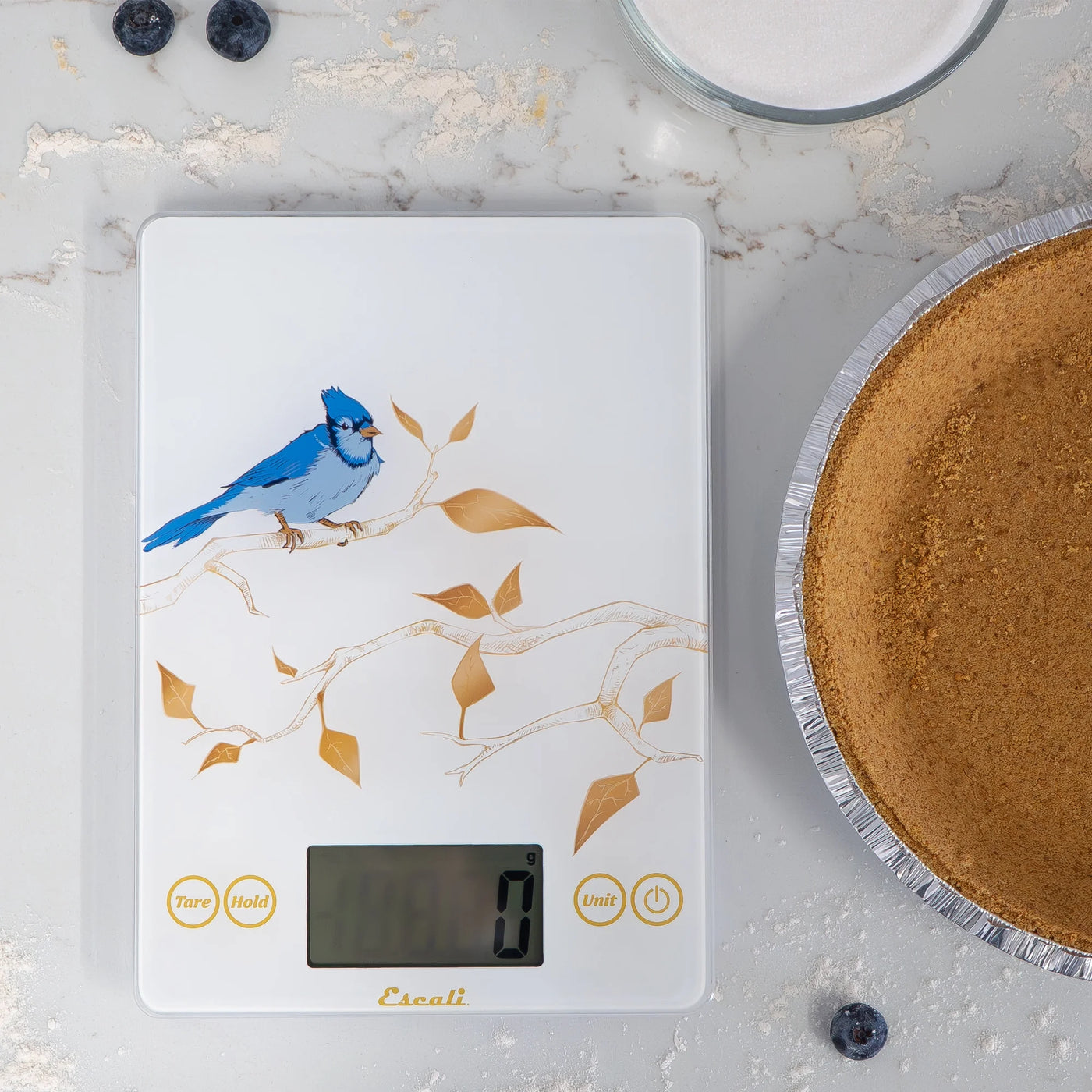 Arti Blue Jay Glass Digital Scale, White, for Accurate Kitchen, Food and Portion Weighing, Durable Design for Daily Home Use