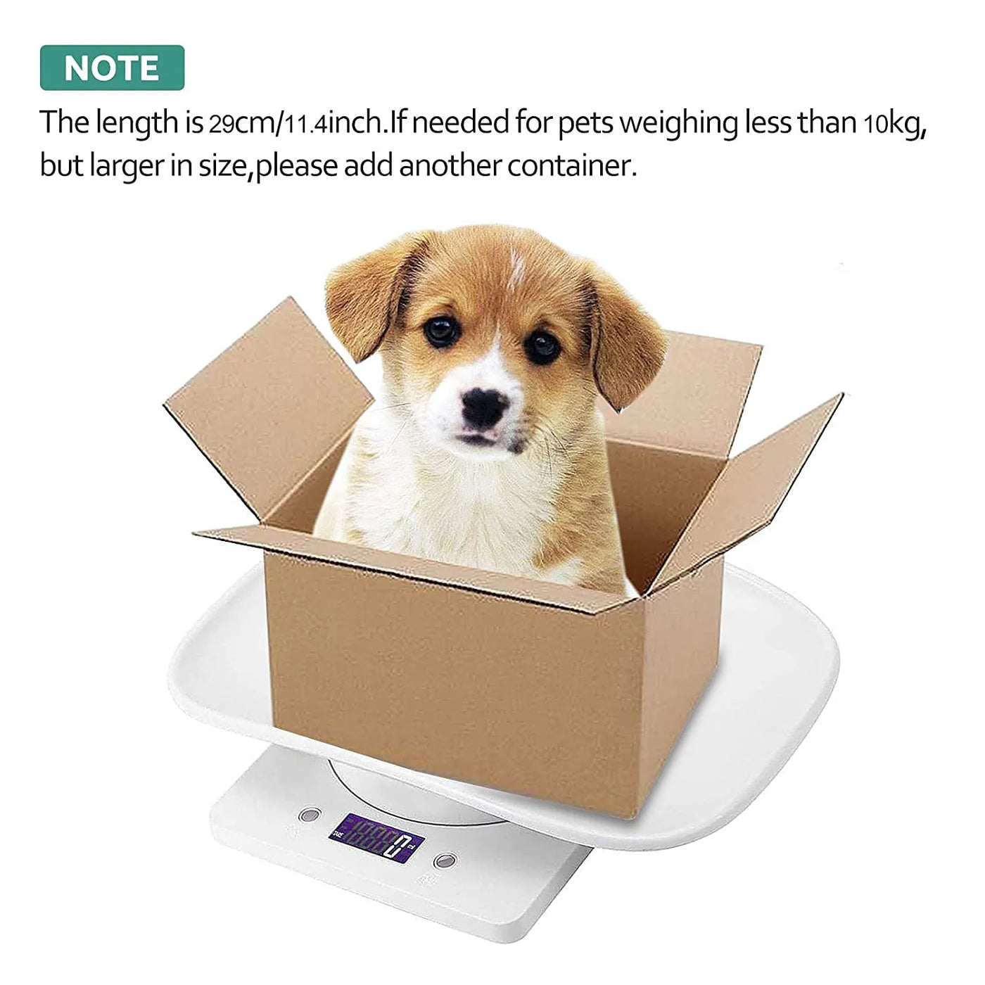 Ideal for Weighing Cats and Smaller Dogs, Portable and Convenient Digital Scale with Auto Shut Off for Pets and Kitchen