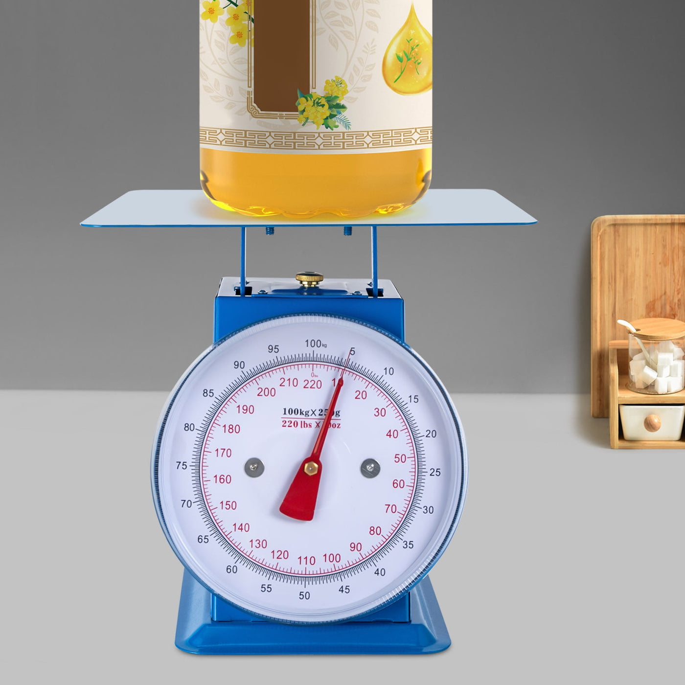 220-LBS Heavy Duty Portion-control Mechanical Kitchen and Food Scale, Industrial Dial Scale, Mechanical Dial Scale