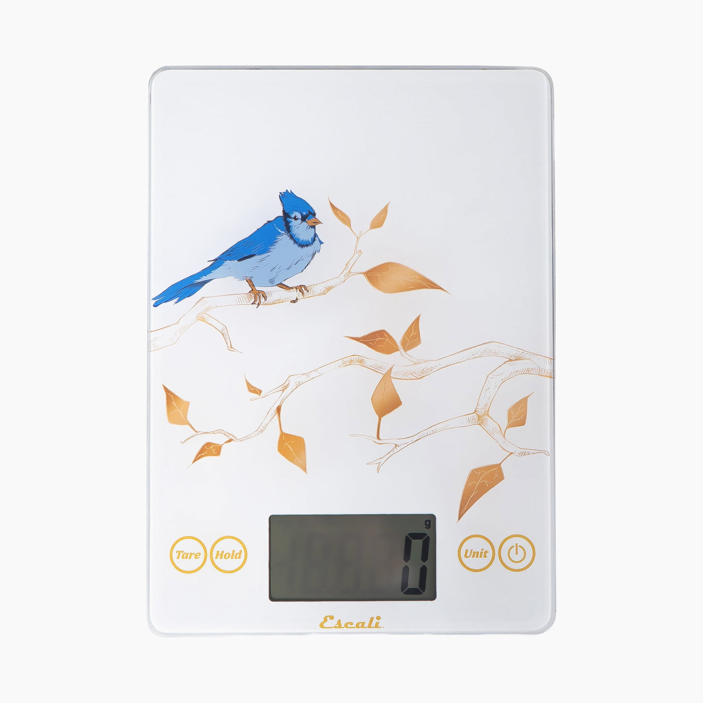 Arti Blue Jay Glass Digital Scale, White, for Accurate Kitchen, Food and Portion Weighing, Durable Design for Daily Home Use