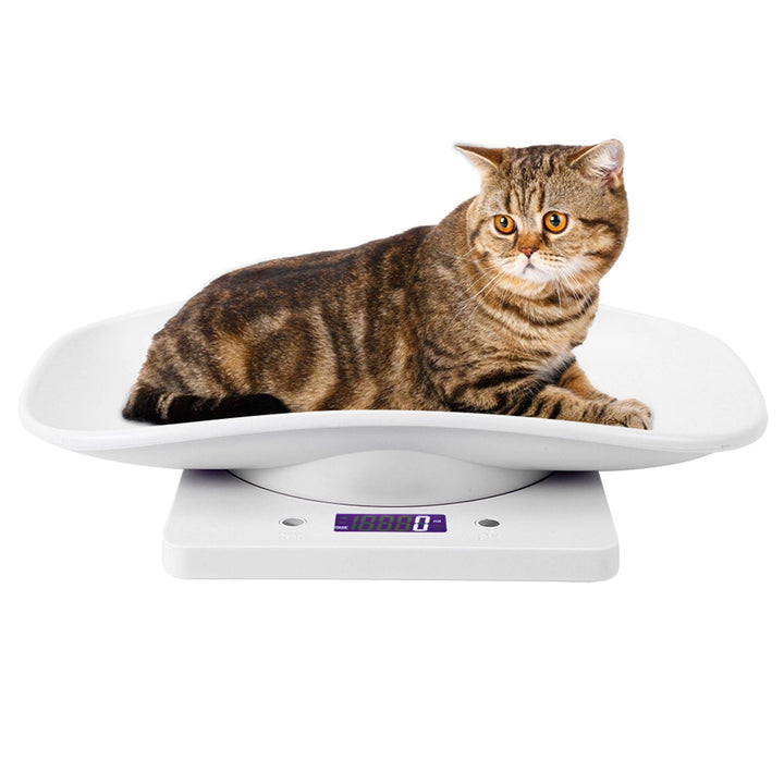 Tebru Pet Scale, 10kg/1g Digital Small Pet Weight Scale for Cats Dogs Measure Tool Electronic Kitchen Scale, Baby Scale