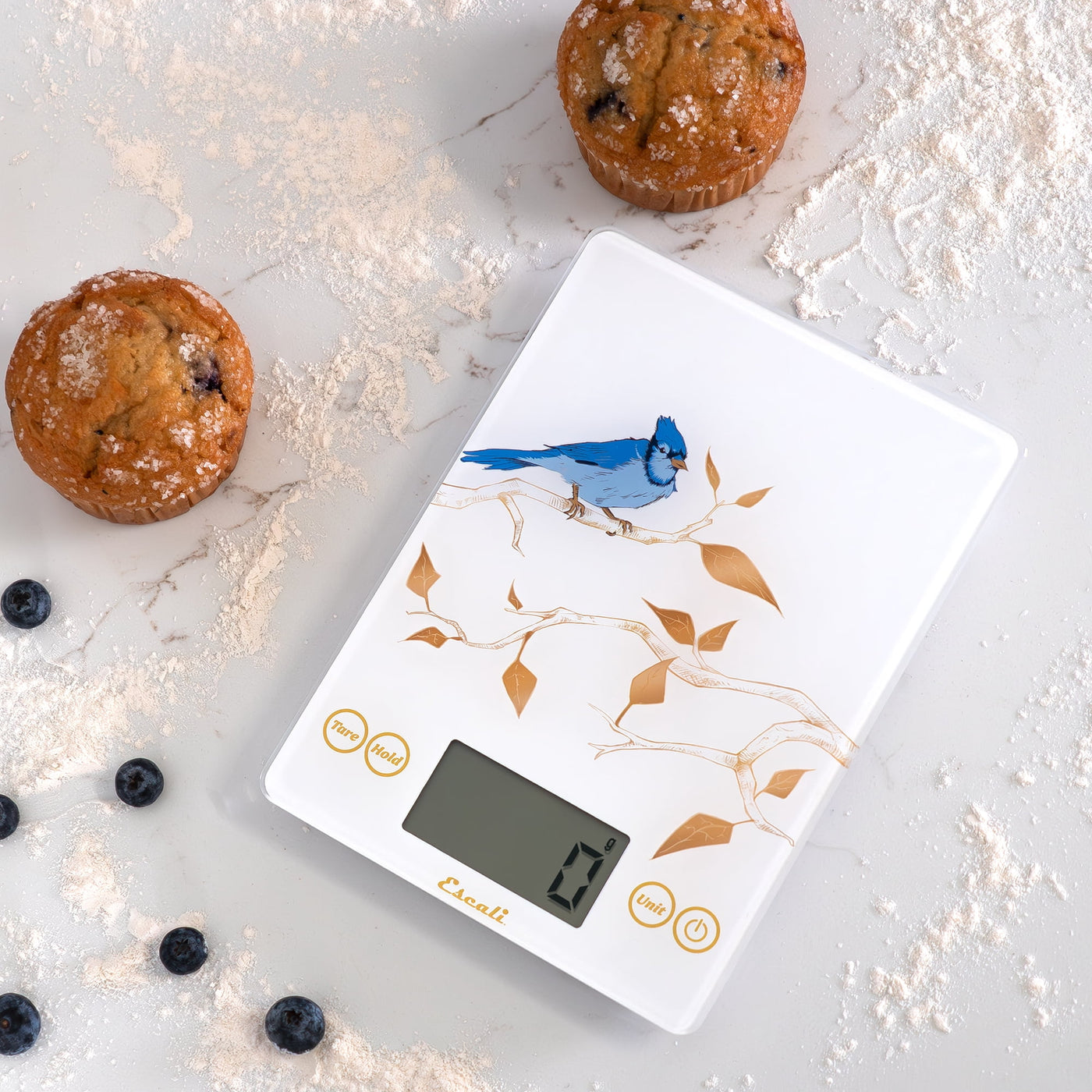 Arti Blue Jay Glass Digital Scale, White, for Accurate Kitchen, Food and Portion Weighing, Durable Design for Daily Home Use