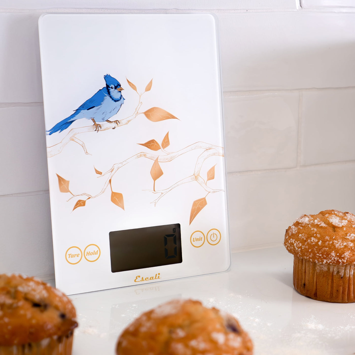 Arti Blue Jay Glass Digital Scale, White, for Accurate Kitchen, Food and Portion Weighing, Durable Design for Daily Home Use