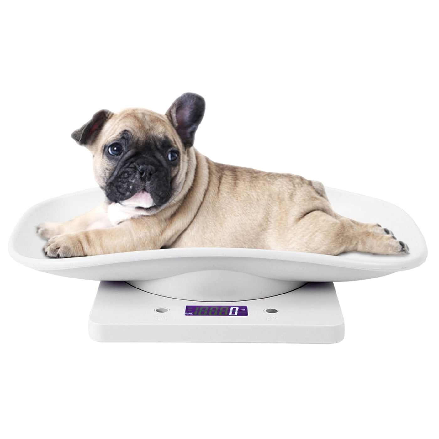 Tebru Pet Scale, 10kg/1g Digital Small Pet Weight Scale for Cats Dogs Measure Tool Electronic Kitchen Scale, Baby Scale